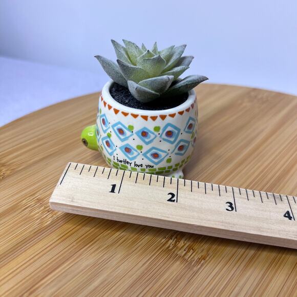 Natural life Blue Green Cutest Little Turtle Mini Faux Succulent Decor - Picture 6 of 8